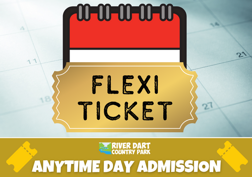 DAY ADMISSION FLEXI TICKET