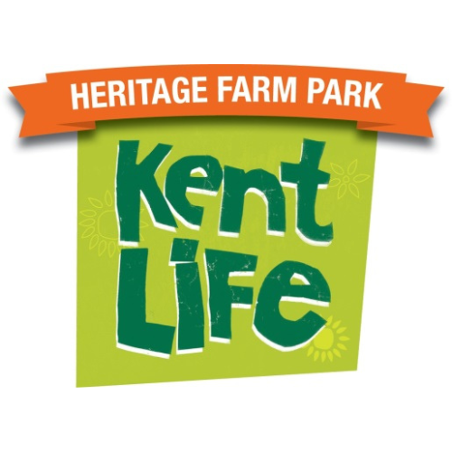 KENT LIFE EVENTS