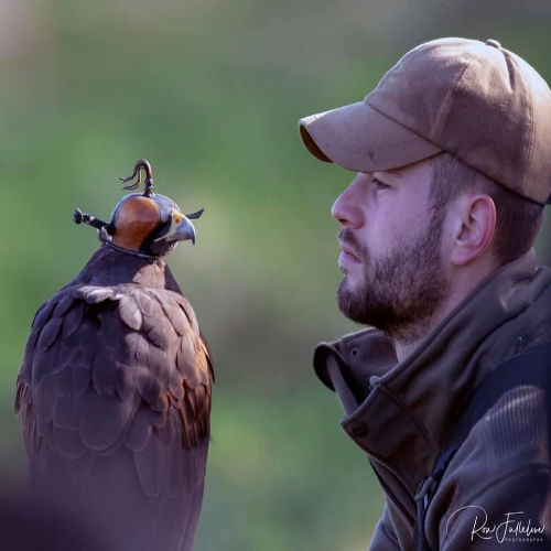 Falconry Gathering 2024