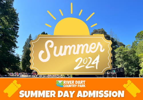 SUMMER DAY ADMISSION