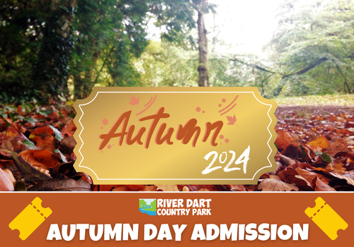 AUTUMN DAY ADMISSION