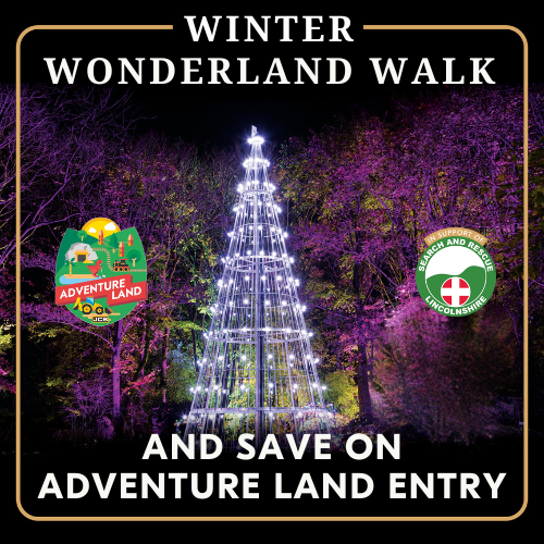 The Springfields Winter Wonderland Walk And Adventure Land Entry