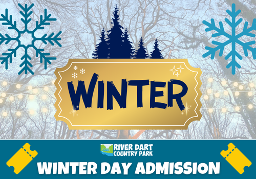 WINTER DAY ADMISSION