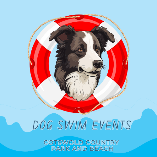 Dog Swim Events