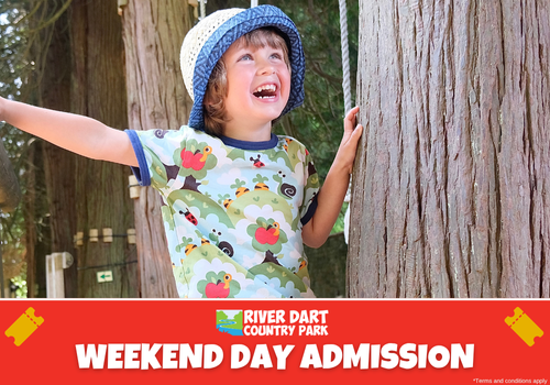 WEEKEND DAY ADMISSION