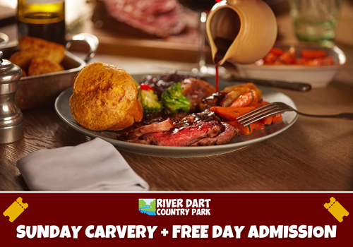 SUNDAY CARVERY + FREE DAY ADMISSION
