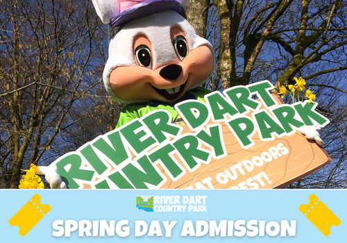 SPRING DAY ADMISSION 2026