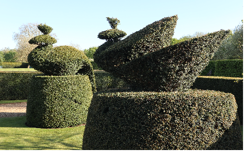 World Topiary Day 2024