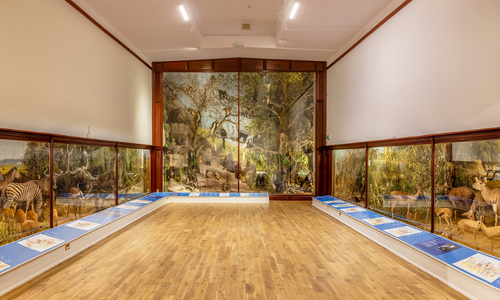 Join us for a Quiz Night at The Museum